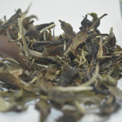 China Chinese loose tea organic silver needle flavored organic fatbud white tea for sale for sale