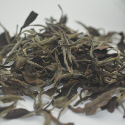 China Loose Tea Withering Ripe And Natural Silver White Loose Needle Tea Organic White Tea Leaf for sale