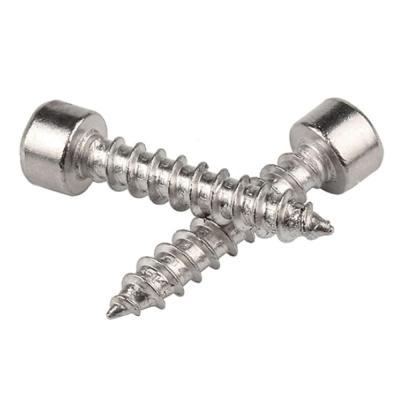 China Pan Metric Thread Fasteners Socket Cap Screws Nails Stainless Steel Hex Head Tapping Screws for sale