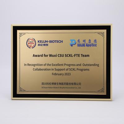 China Morden Manufacturer Custom Promotional Aluminum Alloy Reward Souvenir Gift Medal Trophy Plaque for sale