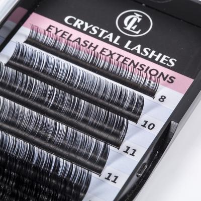 China Gently 20 Lines 3D Professional Mink Labeled Premium Individual Eyelashes Extensions for sale