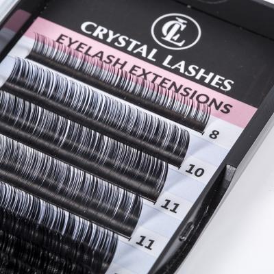 China Private Label 2020 Soft Mink Eyelashes Extensions Professional Silk whips Tray Individual Russian Volume Eyelash extension for sale