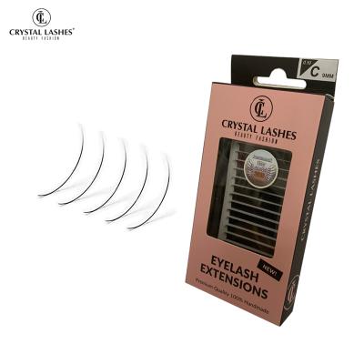 China Crystal Lashes ipek kirpik eyelash training kit natural long eyelash extension eyelash with cache for sale