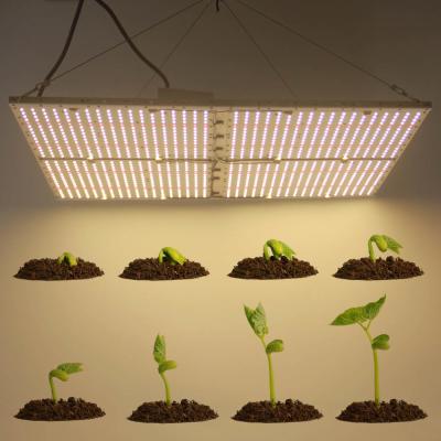 China Dimmable LED Grow Lights 301H Full Spectrum 480w Plant Grow Lamps With Dimmer Greenhouse Plants Fill Light for sale