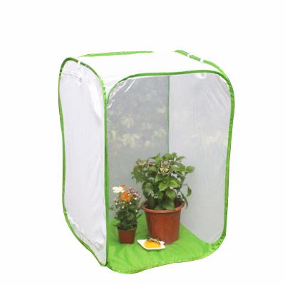 China Wholesale Breathable Mesh Foldable Insect Polyester Pet Insect Net Cage Summer Butterfly Observation Cage for sale