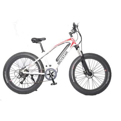 China 2020 Brand new aluminum alloy fat tire 1000 watt dual motor 20ah/750w electric bicycle ebike 48v 1000 watt electric bicycle for sale