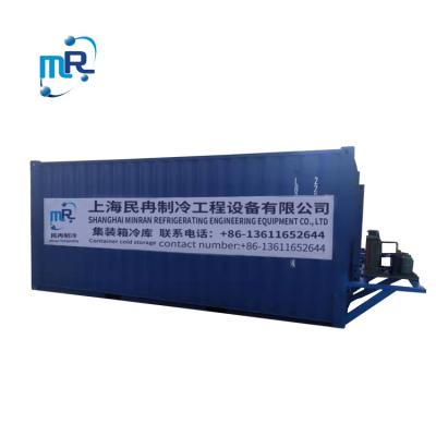 China Container Competitively Priced Small Industry Portable 20ft Container Frozen Cold Storage Room For Fish Seafood Chicken Meat for sale