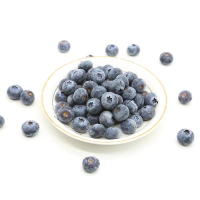 China FROZEN high quality origin bagged fresh fruit best grade delicious frozen wild blueberries with juicy for sale