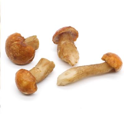 China Wild natural organic food production direct sales of new crops of edulis (wild) mushroom porcini wild boletus in bulk for sale