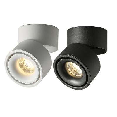 China Modern Wholesale COB Outdoor Downlight Gu10 12w Aufputz Led Downlight 360 Degree Rotatable Ceiling for sale