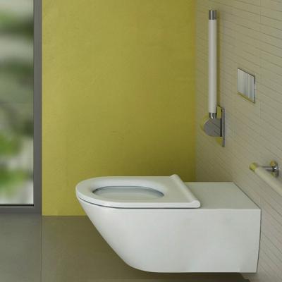 China Automatic Operation Plus WC Wand Toilet Care Bidet Aid Commode Macerator Cabinet P Trap Extended Access Single Flap Seat Raised Toilet Unit for sale