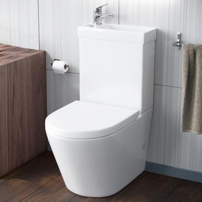 China Hand Public Toilet Double-Flow Wash Commode Sink Combination Wc In A Comm Lavatory User. publi lav double squatting wc shower bidet wc for sale