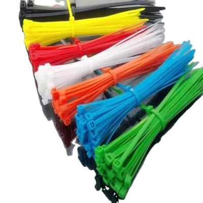 China Nylon reusable nylon tie, high quality tie, durable nylon zipper tie for sale