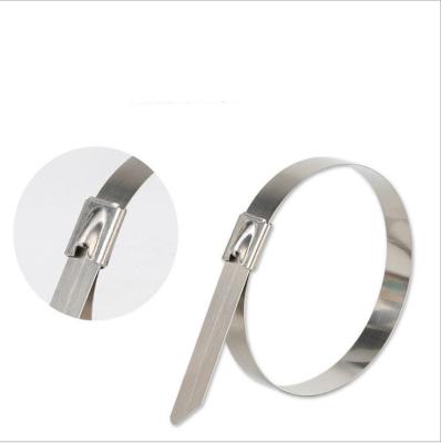 China Self Locking Tying Cable Tie Mounts Electrical Cable Tie Stainless Steel Cable Tie for sale