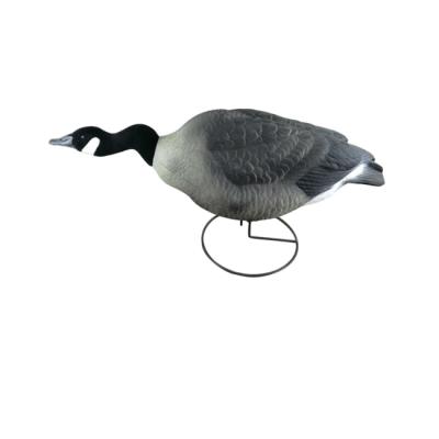 China Wholesale Garden Canada Goose Decoy for Hunting, Decorative Garden Goose Mold Duck Decoy for sale