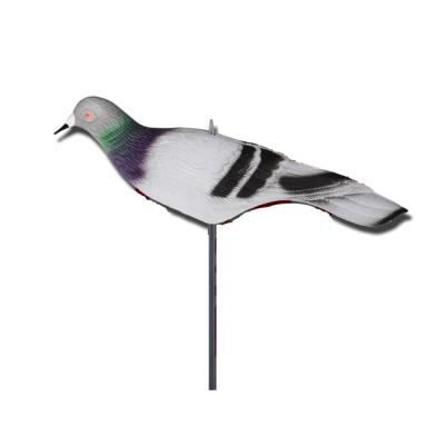 China Bait Decoys Plastic Pigeon Bird Floating Hunting Decoy for sale