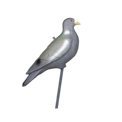 China Plastic Floating Bait Pigeon Decoy With Built In Stake for sale