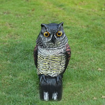 China China Wholesale Light Top Grade Strong Plastic Owl Decoy for sale