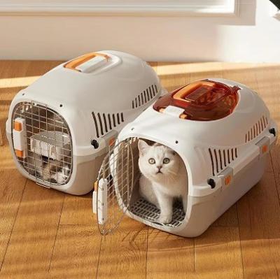 China Portable Plastic Pet Space Bag Airline Approved Dog Cat Carrier for Outdoor Travel for sale