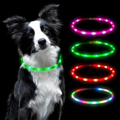 China USB Rechargeable Lighted Dog Collar Band with Color Changeable Pet Collars for sale