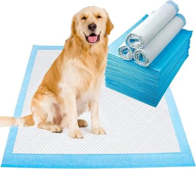 China Customized Free Sample Pee Pad for Dog Back Side Waterproof Sanitary Dog Pee Training for sale