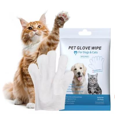 China Sustainable Pet Cleaning Gloves with Private Label Wet Wipes for Dogs and Cats Eco-Friendly Design for sale