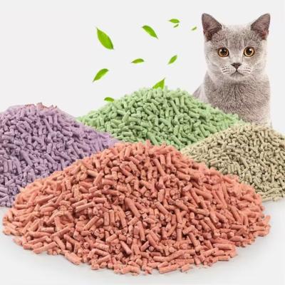 China Item Type Eco-Friendly Tofu Cat Litter Box 100% Flushable ODM Designs Original Sand for sale