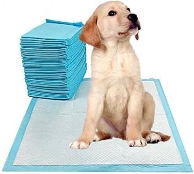 China Small Animals Healthy Style Indoor Toilet Training Pet Pee Pad Absorbent 56 x 56 cm for sale