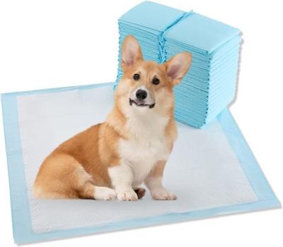 China Extra Large Disposable Dog Pads 56x56cm for Everyday Season Potty Training for sale