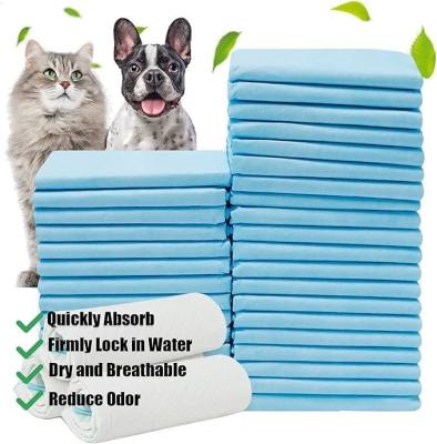 China Disposable Pet Training Pads 56x56cm Large Dog Pee Pads For Puppies And  Animals for sale