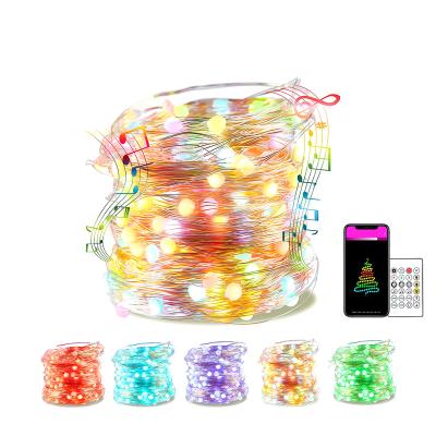 China High Quality Blue String Light Copper USB Tooth Wifi APP Control String Lights Colorful RGB Music Wifi Smart Christmas Lights Decoration for sale