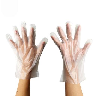 China Clear Biodegradable Compostable Plastic Disposable PLA Free Food Prep Cleaning Eco-Friendly Gloves for sale