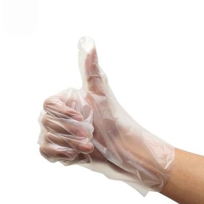 China OEM ODM Service 100% Biodegradable Eco-friendly PLA PBAT Compostable Cornstarch Disposable Plastic Kitchen Gloves for sale