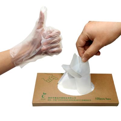 China Custom Logo PLA Disposable Plastic Gloves Eco-friendly Cornstarch Made Biodegradable Gloves for sale