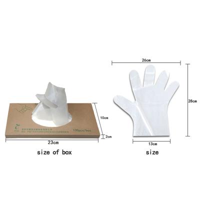 China Cleaning 100% Biodegradable And Compostable Eco-Friendly Disposable Gloves With Corn Starch for sale