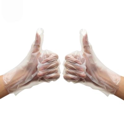 China Cleaning PE Plastic Disposable Gloves 100% Biodegradable And Compostable Eco-friendly With Cornstarch for sale