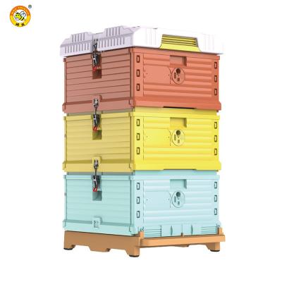 China Heat Preservation Beekeeping Machines Langstroth Newest Hive Beekeeping Equipment Plastic Thermo Bee Hive 10 Frames for sale