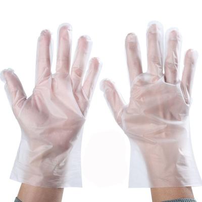 China Household Strip Plastic Gloves Food Grade Processing Industry Safety Disposable Elastic Gloves for sale