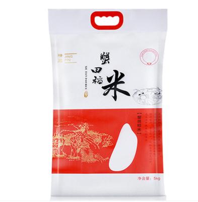 China 1kg 2kg 5kg 10kg Laminated Plastic Flour Packaging Bag Vacuum Rice Moisture Proof Custom Printing Packaging Bags With Handle for sale