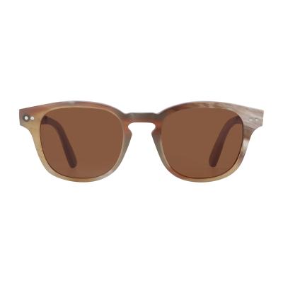 China Fashion Sunglasses Brown Polarized Lens Buffalo Horn Sunglasses Wooden Sunglasses With Custom Logo for sale