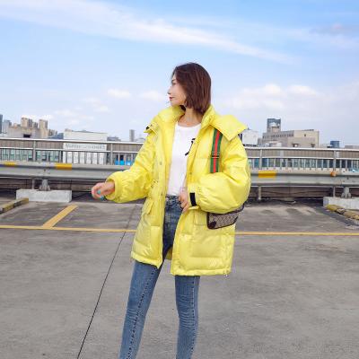 China 2021 New Brand Ladies Cotton Winter Detachable Coat Fashionable Loose Casual Windproof Cotton Hat Women Coat for sale