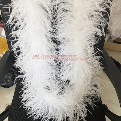 China White Feather Quality Ostrich Feather Trim 2 Ply Ostrich Feather Boa Trimmings 2 Meters For Dresses Woman Pajamas Bags for sale