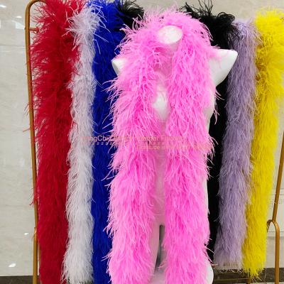 China Ostrich Feather Design Top Quality Ostrich Feather Boa The Latest 20 Ply 2 Meters For Fringe Ribbon Dance Trim for sale