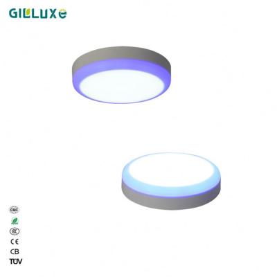 중국 Factory Direct Price Double Color Dimmable Outdoor Round Ceiling Lighting Led Panel Light 판매용