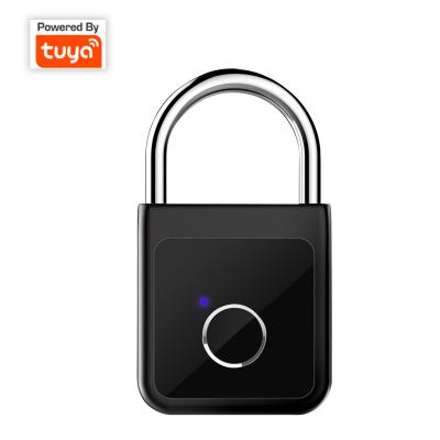 China Kirsite Smart Keyless Digital Biometric Fingerprint Security Padlock Fingerprint Lock Electronic Door Protection Locks for sale