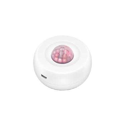 China 2021 Waterproof New Arrival Smart Wifi Pir Detector Motion Sensor Work with Google Alexa for sale