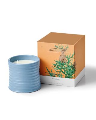 China 2021 Christmas Aromatherapy Candle Honeysuckle Cypress Ball Ivy Sweet Pea Coriander Soy Candles Warm Gift Box Christmas Birthday Wedding Party Gift for sale