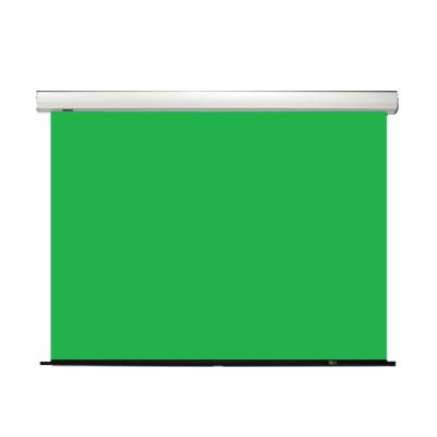 China Green Screen Rolling Screen Photoshop And Cheap Screen Day Also for sale