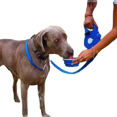 China Personalized Multifunctional Multifunctional Dog Leash With Water Bottle Bowl for sale