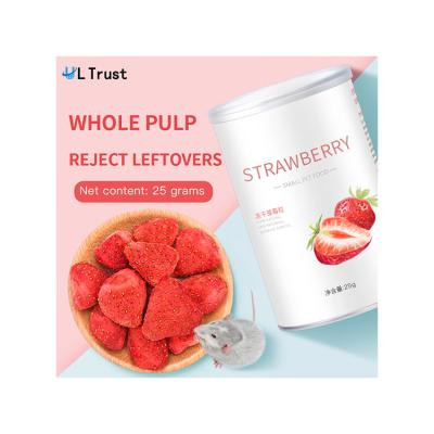 China High Quality Freeze Dried Strawberry Hamster Healthy Viable Pet Snacks Small Animal Snacks for sale